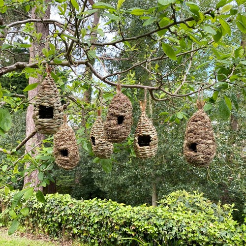 Bird nest nesting rooster pack - nest,